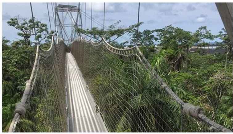 Lekki Conservation Centre. 